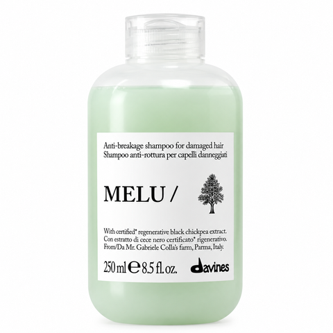Шампунь для против ломкости для длинных и поврежденных волос Davines Essential MELU shampoo, 250 мл d-ess-mlsh фото